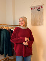 Zeina Polluver
